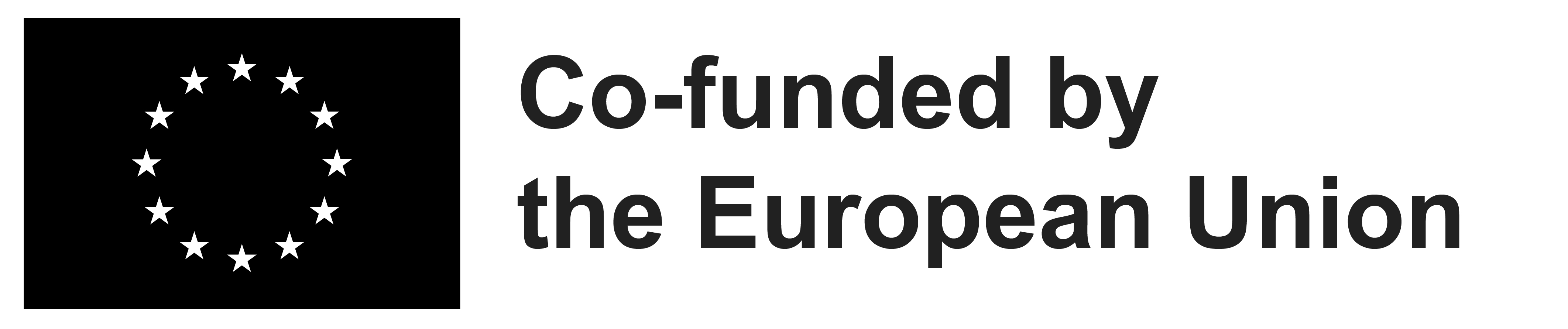 Co-funded by the EU_BLACK.jpg (185 KB)